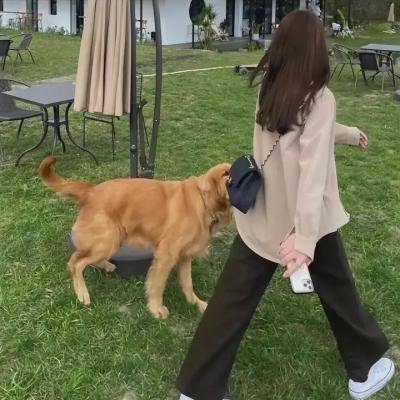 致命之吻